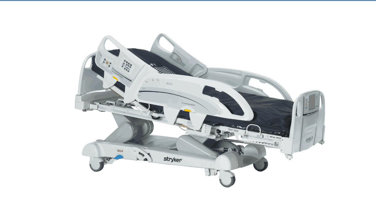 Rerum ipsam eius non